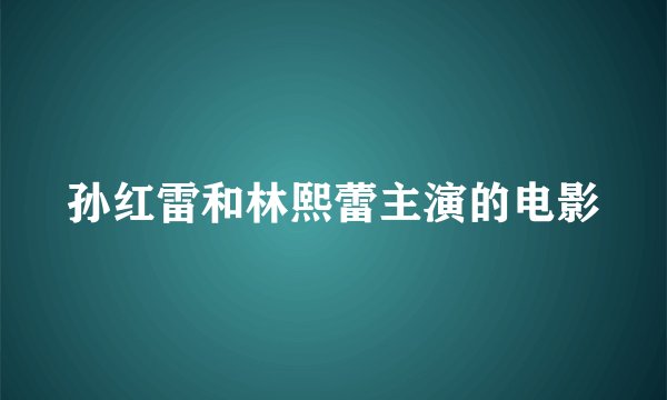 孙红雷和林熙蕾主演的电影