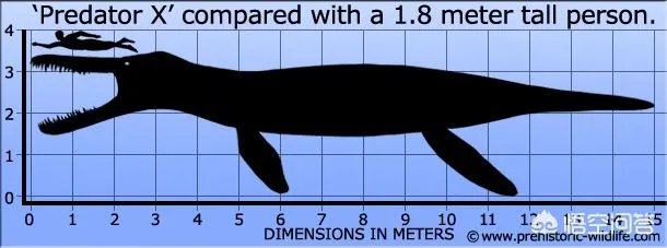 远古时期，地球上最大的食肉动物“里奥普鲁顿”真的存在吗？
