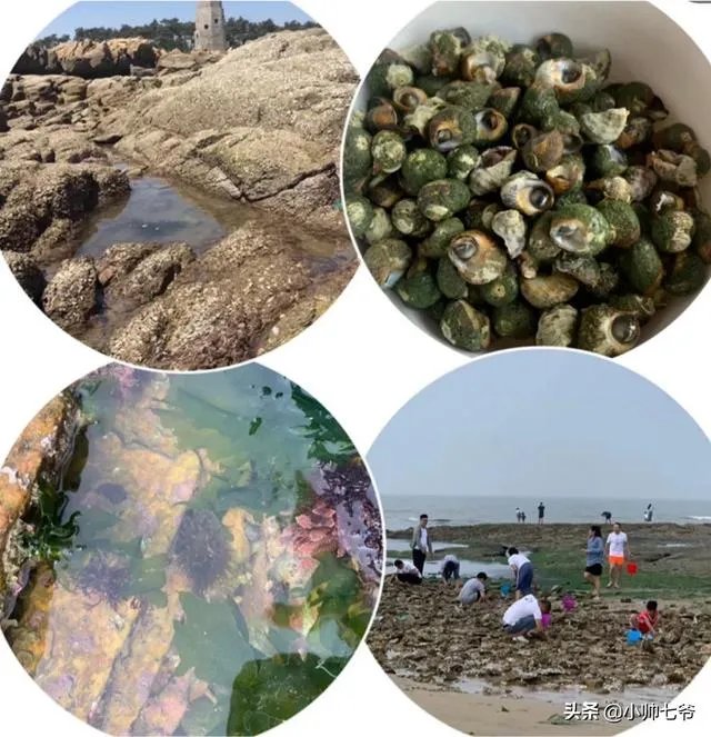 暑期旅行大家都去哪里?适合孩子的地方?