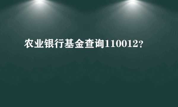 农业银行基金查询110012？