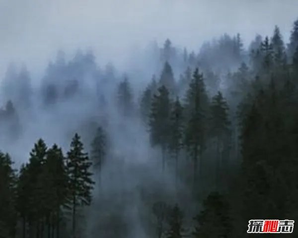 谣言揭秘：民间高人预言2019灾难？(实为烧饼歌)