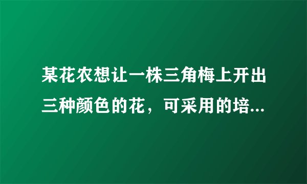 某花农想让一株三角梅上开出三种颜色的花，可采用的培育方法是（　　）A.扦插B. 嫁接C. 杂交D. 有性生殖
