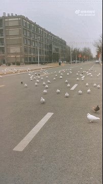 为朴槿惠挡酒瓶的女保镖走红 百里单挑一的动态图