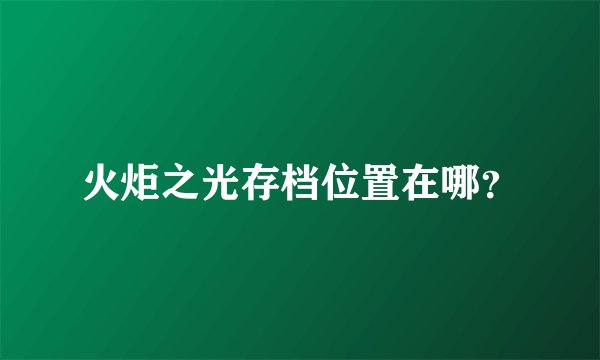 火炬之光存档位置在哪？
