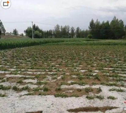 内蒙古风雹灾害造成多少人死亡？