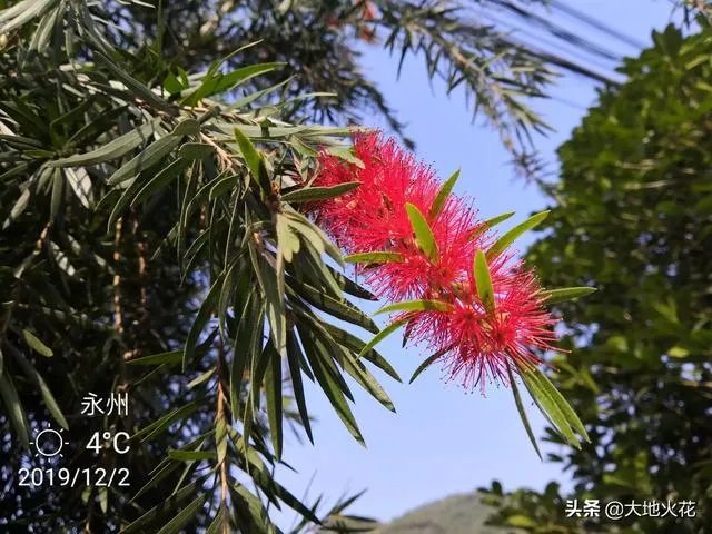 如何欣赏一平面设计作品?