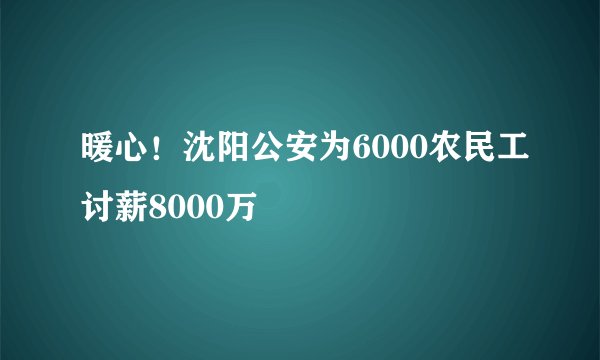 暖心！沈阳公安为6000农民工讨薪8000万