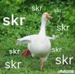 夏天喝什么饮料好?