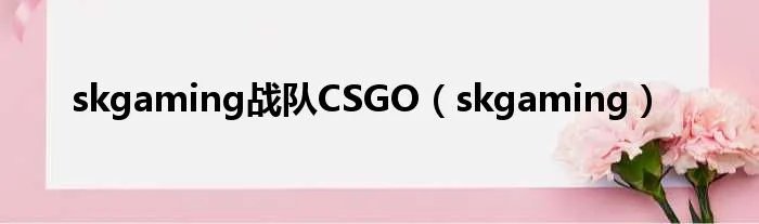 skgaming战队CSGO（skgaming）