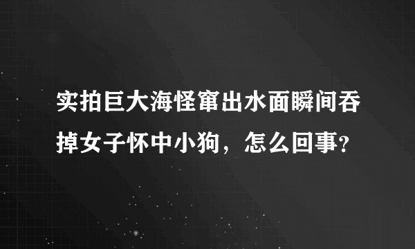 实拍巨大海怪窜出水面瞬间吞掉女子怀中小狗，怎么回事？