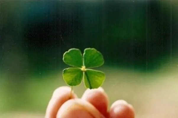 不如拥抱到天亮秦舒 不如拥抱到天亮江靖言小说阅读