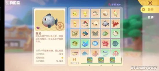 《摩尔庄园》钓鱼图鉴大全 全鱼类出现地点及时间一览