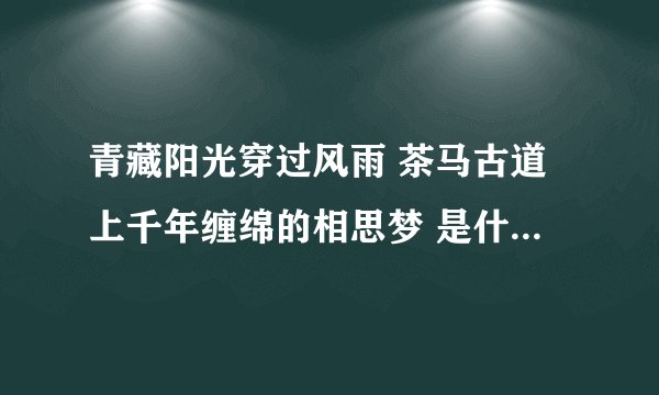 青藏阳光穿过风雨 茶马古道上千年缠绵的相思梦 是什么歌的歌？