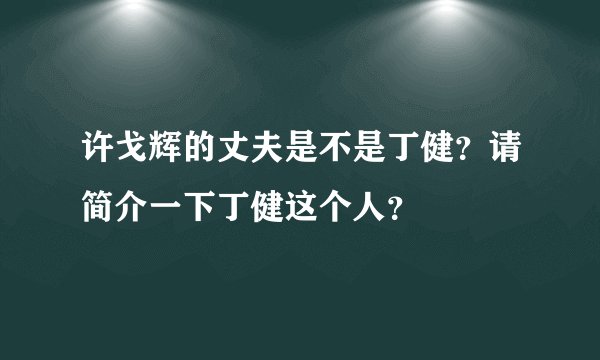 许戈辉的丈夫是不是丁健？请简介一下丁健这个人？