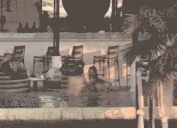 白百合为什么会遭封