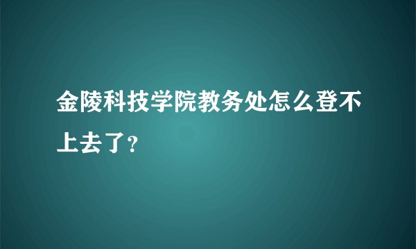 金陵科技学院教务处怎么登不上去了？