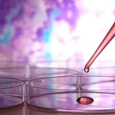 脖子上有皱纹怎么办