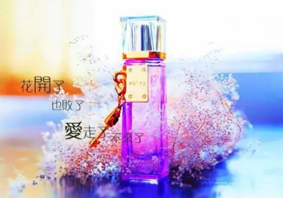 宋知意顾南风小说 宋知意顾南风免费阅读