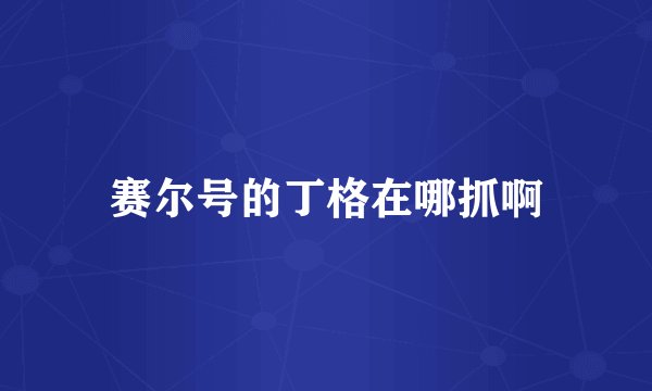 赛尔号的丁格在哪抓啊
