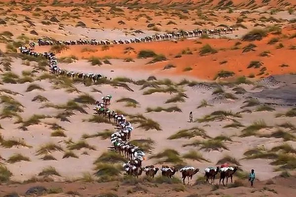 全球十大必看英文纪录片，地球与海洋让人体会大自然的伟大