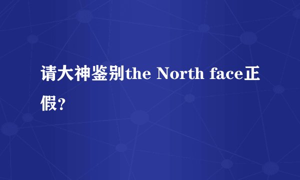 请大神鉴别the North face正假？