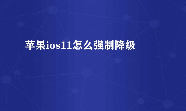 苹果ios11怎么强制降级