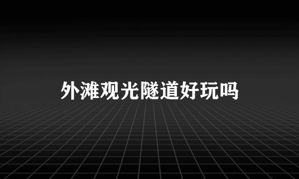 外滩观光隧道好玩吗