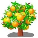 黑土地升级价格表