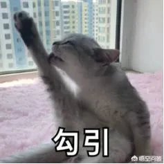 夏天喝什么饮料好?