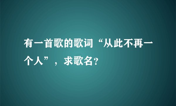 有一首歌的歌词“从此不再一个人”，求歌名？