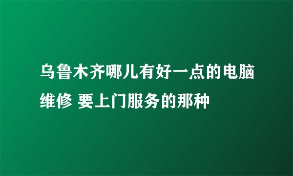 乌鲁木齐哪儿有好一点的电脑维修 要上门服务的那种