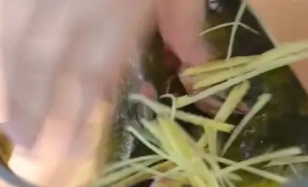 清蒸黄嘎鱼怎么做清蒸黄嘎鱼家常做法清蒸黄嘎鱼的做法