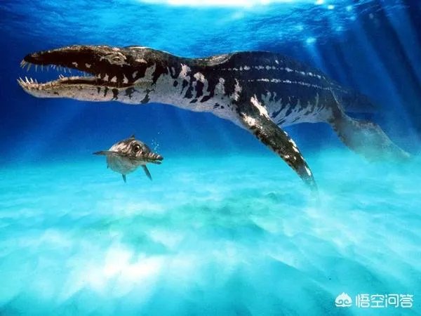 远古时期，地球上最大的食肉动物“里奥普鲁顿”真的存在吗？