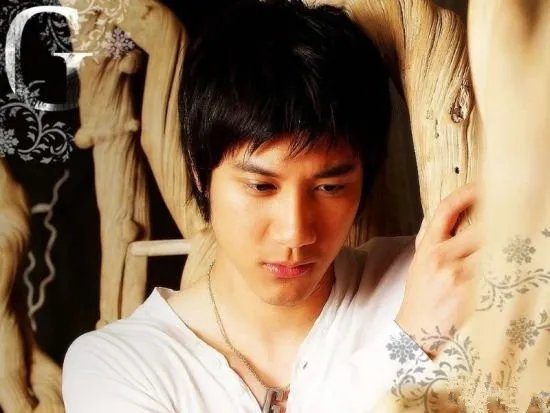 王力宏李云迪结婚照大曝光 王力宏李云迪恋情大揭秘