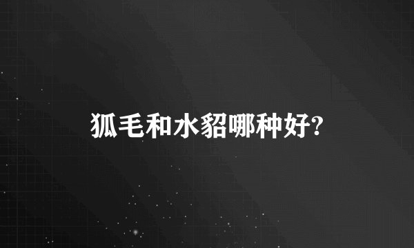 狐毛和水貂哪种好?