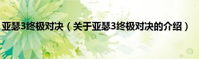 亚瑟3终极对决（关于亚瑟3终极对决的介绍）