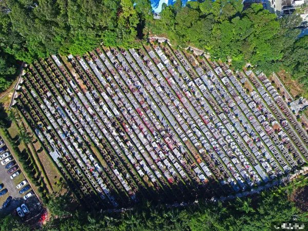 深圳迎来清明扫墓高峰是什么情况?