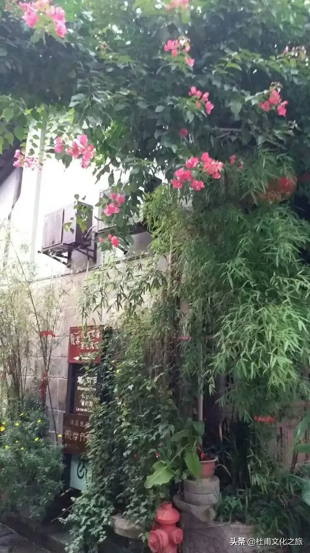 游历华山时的心跳体验是怎样的?