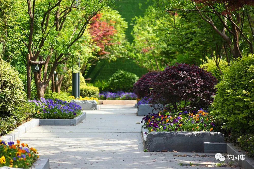 园集奖优秀作品 | 造一座走在诗句上的美好花园,愿不负初心不负你