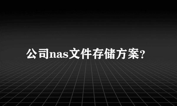公司nas文件存储方案？