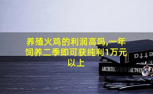 养殖火鸡的利润高吗,一年饲养二季即可获纯利1万元以上