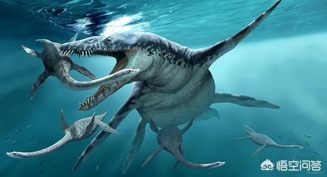 远古时期，地球上最大的食肉动物“里奥普鲁顿”真的存在吗？