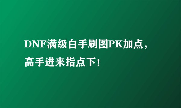 DNF满级白手刷图PK加点，高手进来指点下！