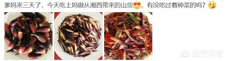 歌手阿朵最近怎么样？
