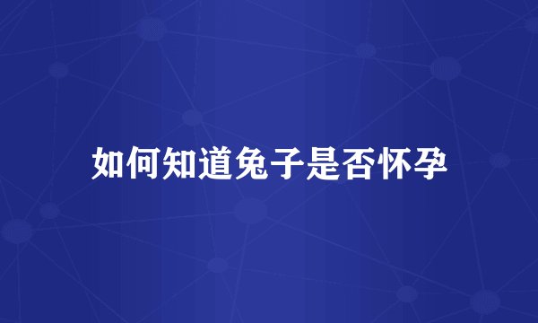 如何知道兔子是否怀孕