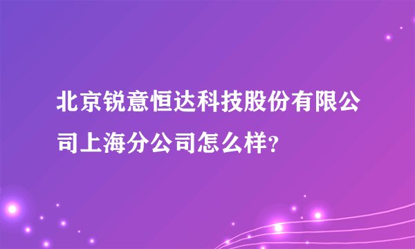 北京锐意恒达科技股份有限公司上海分公司怎么样？