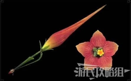 《怪物猎人崛起》全武器衍生图鉴 武器制作材料和属性一览