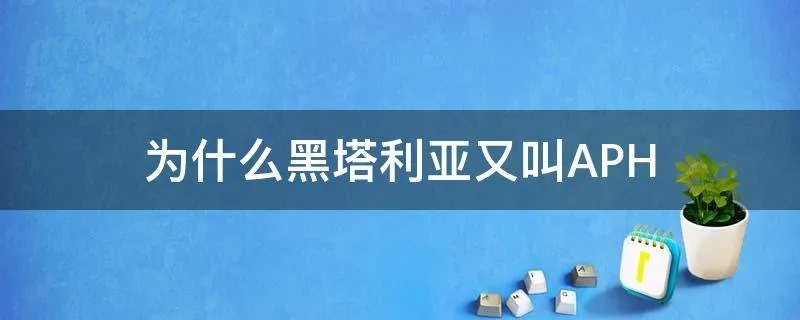 为什么黑塔利亚又叫APH