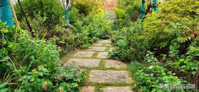 自由人旅行怎么样?