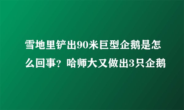 雪地里铲出90米巨型企鹅是怎么回事？哈师大又做出3只企鹅